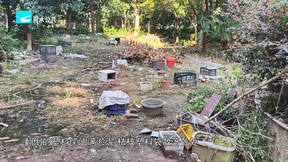 老白帮忙团 有事我帮忙丨老年公寓空地垃圾成堆 住户心里犯愁