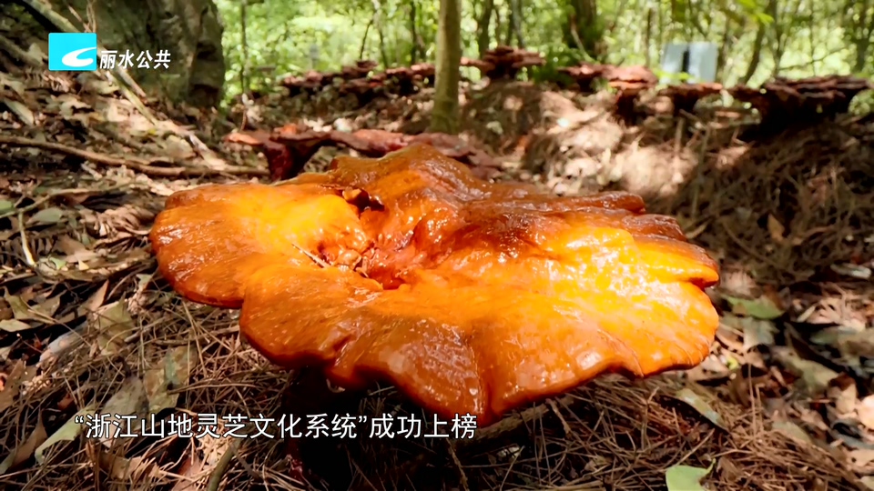 我市新增一项中国重要农业文化遗产