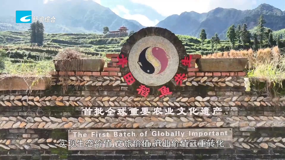 深耕“一县一品” 做实“土特产富”丨稻香伴鱼跃 一田双收闯出共富新路
